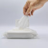 Anti bacterial Wipes (10 wipes/pack)
